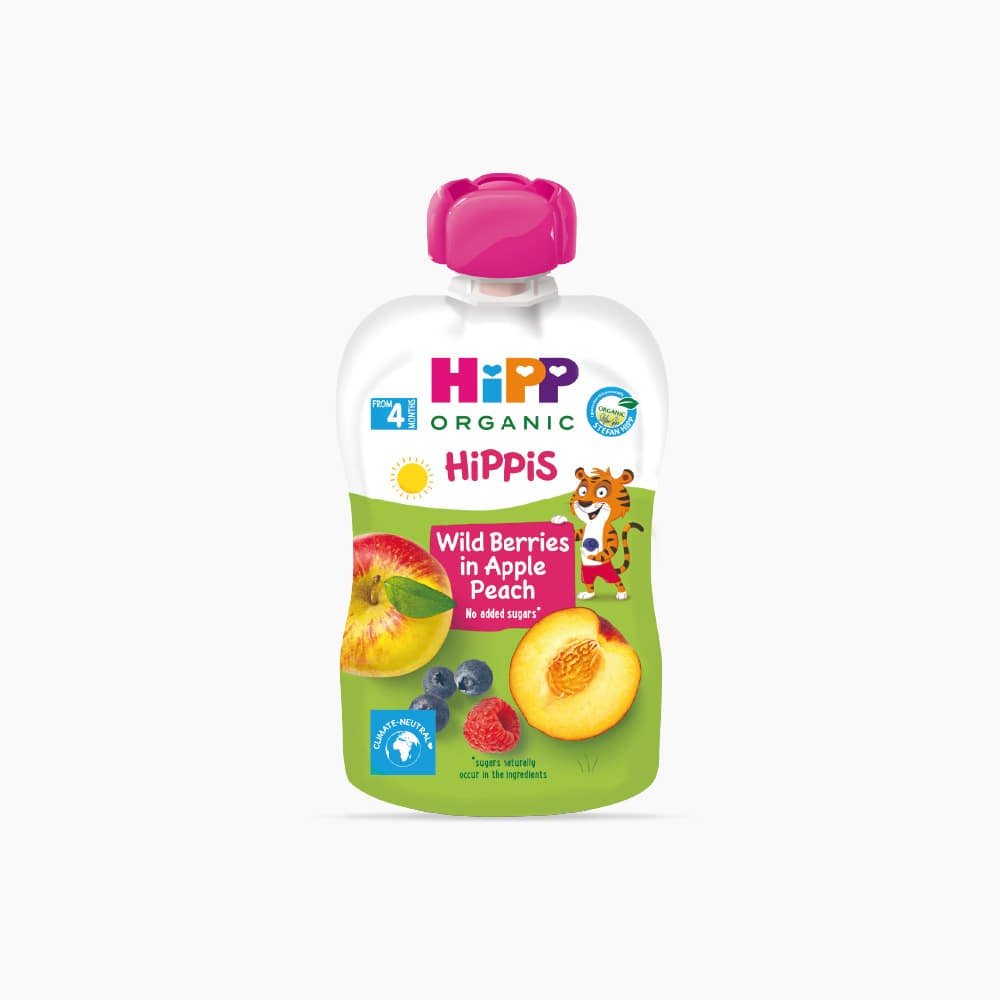 [Hipp] Wild Berry in Apple Peach 100g